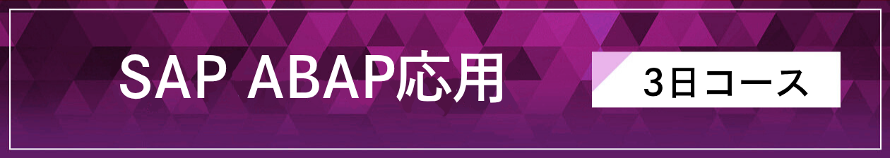 SAP ABAP応用